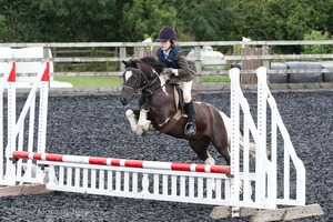 Class 2 -  Fences not above 2'